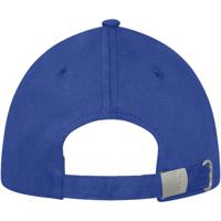 Darton 6 panel sandwich cap-1157