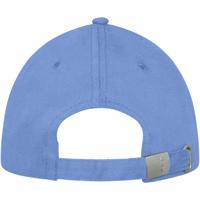 Darton 6 panel sandwich cap-1155