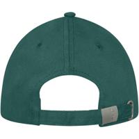 Darton 6 panel sandwich cap-1161