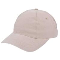 Brushed promo cap-990