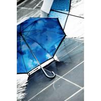 Nylon (190T) paraplu Ronnie-4477