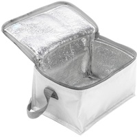 Polyester (420D) koeltas Cleo