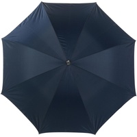 blauw/zilver