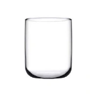 Iconic Tumbler
