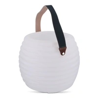 1616 | Coollux sfeerlamp en draadloze luidspreker