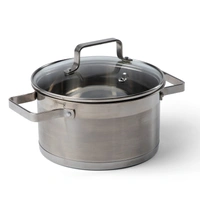 Orrefors Jernverk RVS pan 5L