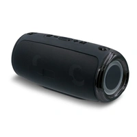 Draadloze Speaker met schouderband 20W