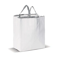 Koeltas non-woven 32.5 x 19.5 x 39 cm, 100 g/m²