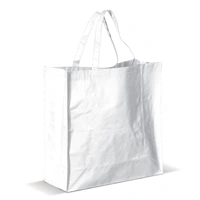 Draagtas gelamineerd PP woven 160g/m²