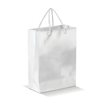 Draagtas papier groot 200g/m2