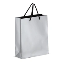 Papieren cadeautas 24 x 10 x 30cm 200g/m²