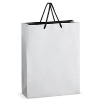 FSC Papieren cadeautas 30 x 12 x 40cm 200g/m²