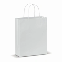 Papieren kraft tas 90g/m² 22x10x31cm