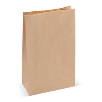 Papieren zak 70g/m² 29x18x9cm