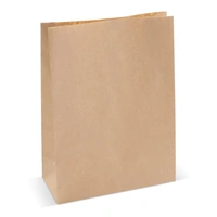 Papieren zak 70g/m² 29x22x9cm