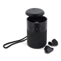 William Draadloze Speaker met TWS oordopjes