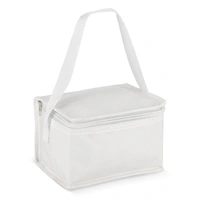 R-PET koeltas voor 6 blikjes, non-woven, 20 x 13 x 12,5 cm, 75 g/m²