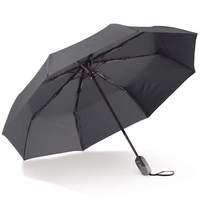 Luxe opvouwbare paraplu 22” auto open/auto sluiten