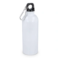 Gerecycled RVS Enkelwandige fles met Karabijnhaak 500ml