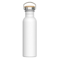 Waterfles Ashton 750ml