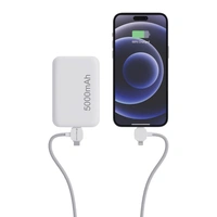 Urban Vitamin Stockton 65W Magnetische Oplaadkabel