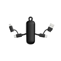 Urban Vitamin Dublin 100W 4 -in-1 keychain cable