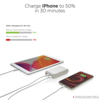 Urban Vitamin Alameda 10.000 mAh Powerbank met Snelladen