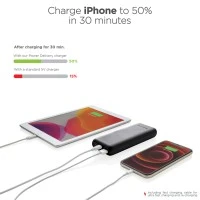 Urban Vitamin Pasadena 20.000 mAh Powerbank