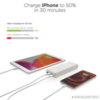 Urban Vitamin Pasadena 20.000 mAh Powerbank