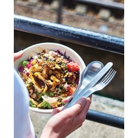 Roestvrijstalen Reis Bestek Set