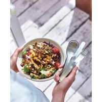 Roestvrijstalen Reis Bestek Set