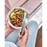 Roestvrijstalen Reis Bestek Set