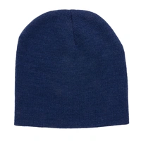 Impact AWARE™ Polylana® Beanie