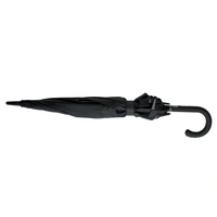 Swiss Peak AWARE™ Uitschuifbare Paraplu 23"-27"