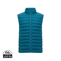 dark teal