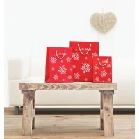 Papieren Geschenktas Klein