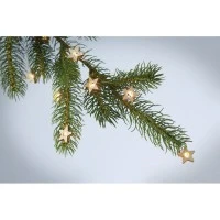 LED Ster Snoer - 20 Lichtjes