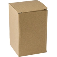 Roestvrijstalen Reisbeker 300 ml