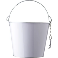 IJzeren en Aluminium IJsemmer Corey - 6L