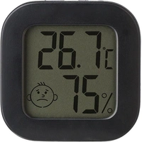 Kleine ABS Hygrometer Kinsley