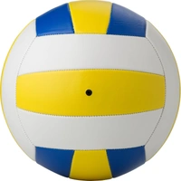 PVC Volleybal Maat 5