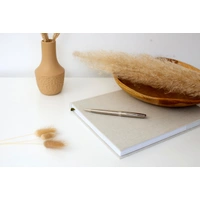 Parker Sonnet Roestvrijstalen Balpen