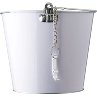 IJzeren en Aluminium IJsemmer Corey - 6L