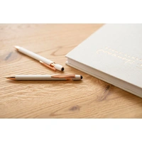 Aluminium Balpen Anthony