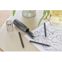 Set van 6 Kleurpotloden