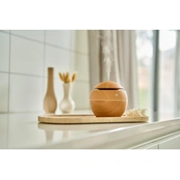 ABS Luchtbevochtiger Ronin