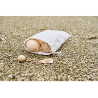 Houten balspelset voor 4-6 spelers