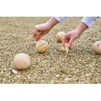 Houten balspelset voor 4-6 spelers