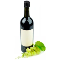 ABS Flesstopper Jareth