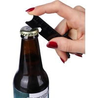 Roestvrijstalen vuurstarterstaaf Set